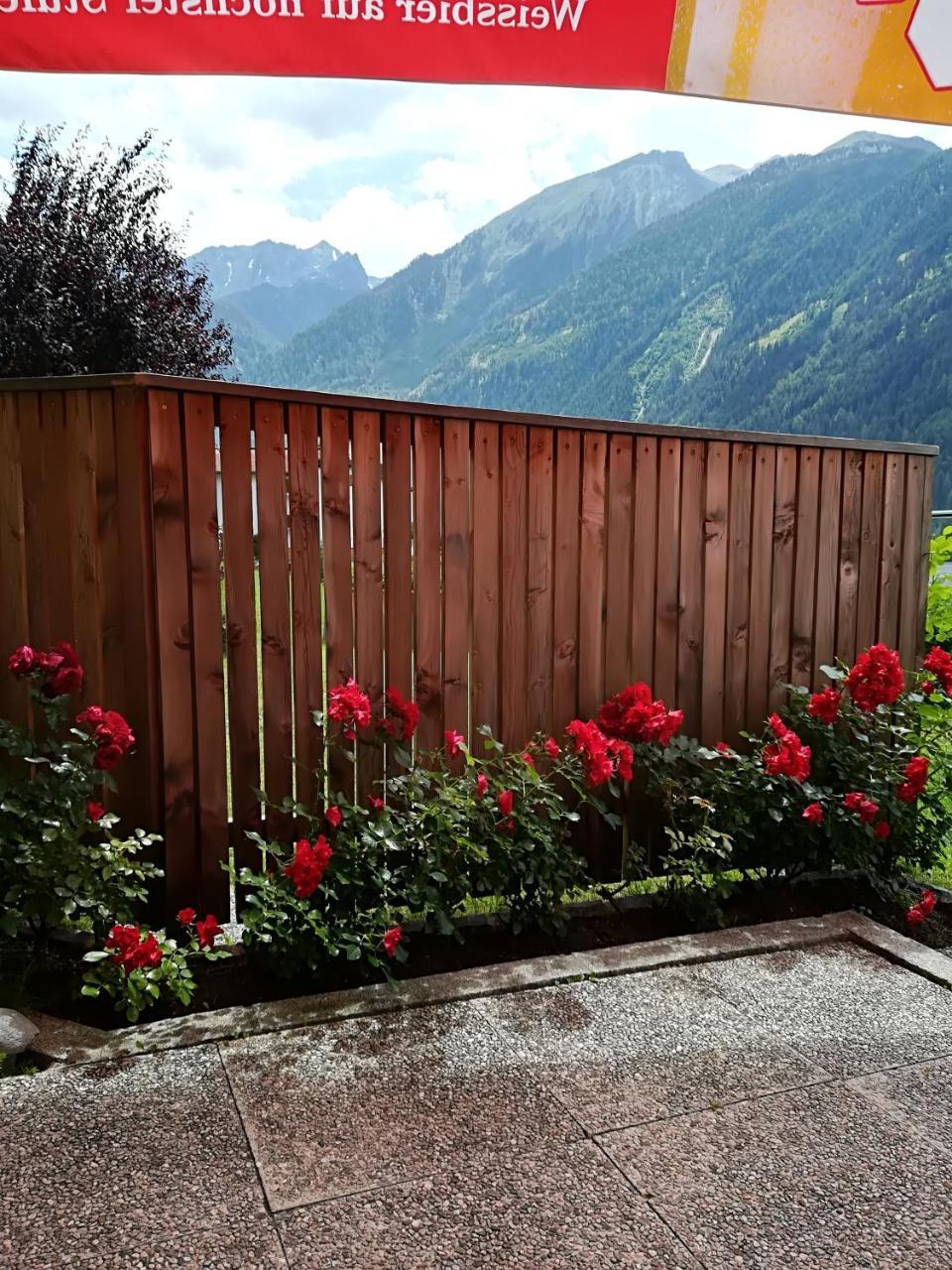 Haus Brigitte - Preise Inclusive Pitztal Sommer Card 耶岑斯 外观 照片