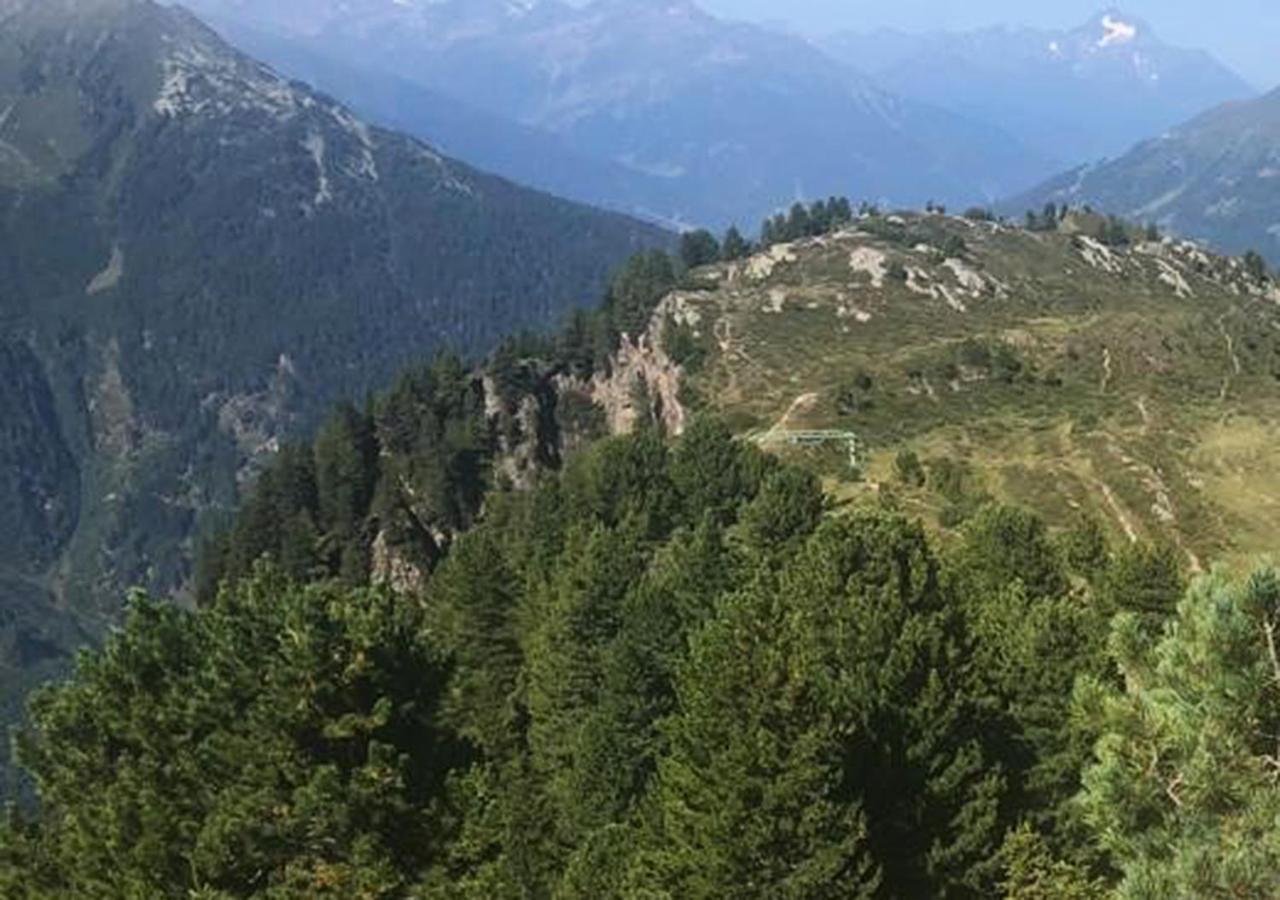 Haus Brigitte - Preise Inclusive Pitztal Sommer Card 耶岑斯 外观 照片